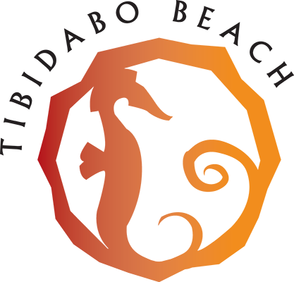 Logo Tibidabo Beach